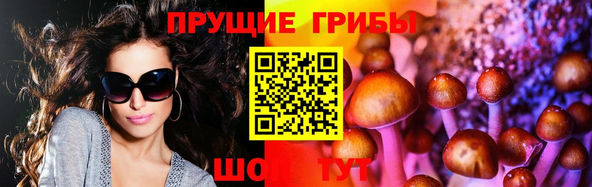Шебекино  Галлюциногенные грибы GOLDEN TEACHER  Псилоцибиновые грибы Cubensis  Вход с VPN 